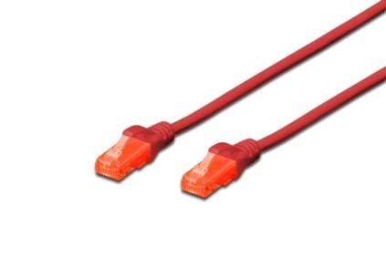 Cat6 U-UTP patchkabel PVC CU 0.25mtr Rood Digitus Premium*