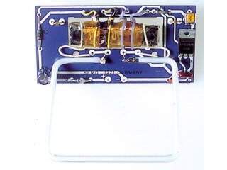 Neon afbeelding 12V bouwpakket Kemo*